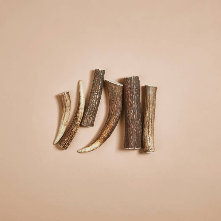 CANOPHERA GmbH - Wholesale Pet Chew Toy - Dog - Dog Chew Made of Red Deer Antlers.7