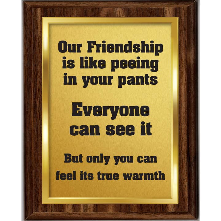 OUR FRIENDSHIP IS LIKE PEEING PLAQUE for wholesale by AAHS Enterprises