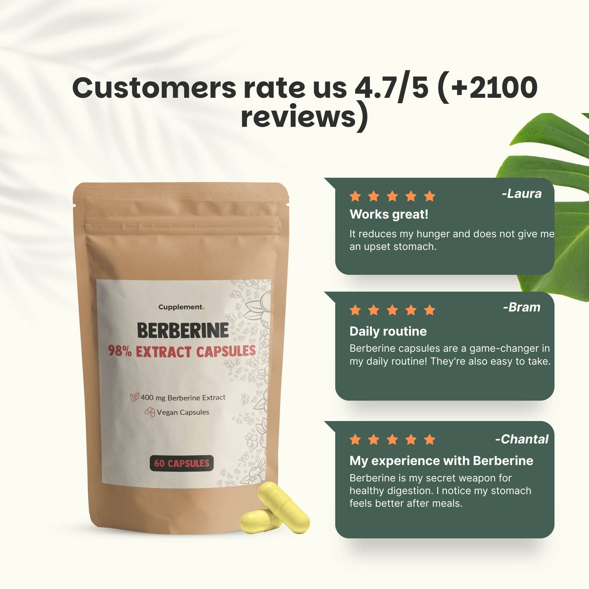 Cupplement b.v. – wholesale Oral supplement/vitamin – Berberine Extract Capsules 400 mg  60 Capsules5