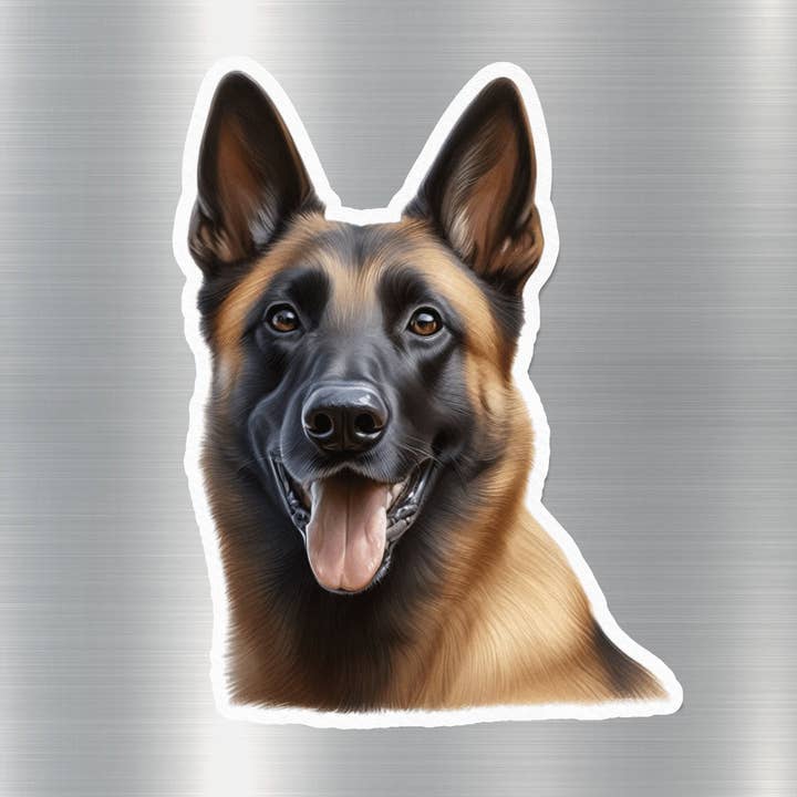 GraffMerch.com - Wholesale Sticker - Attractive Belgian Malinois Dog Sticker
