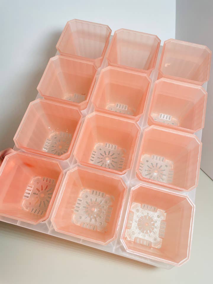 2.75” Pink Tray Set for wholesale by Coco and Palm Trees