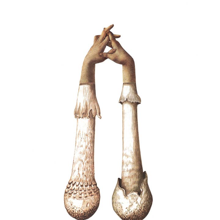 Handshrooms print for wholesale by Nature Morph