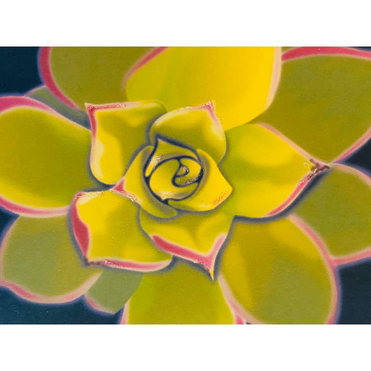 Studio Daedre - Wholesale Everyday Greeting Card - Succulent Yellow - Loose Cards0