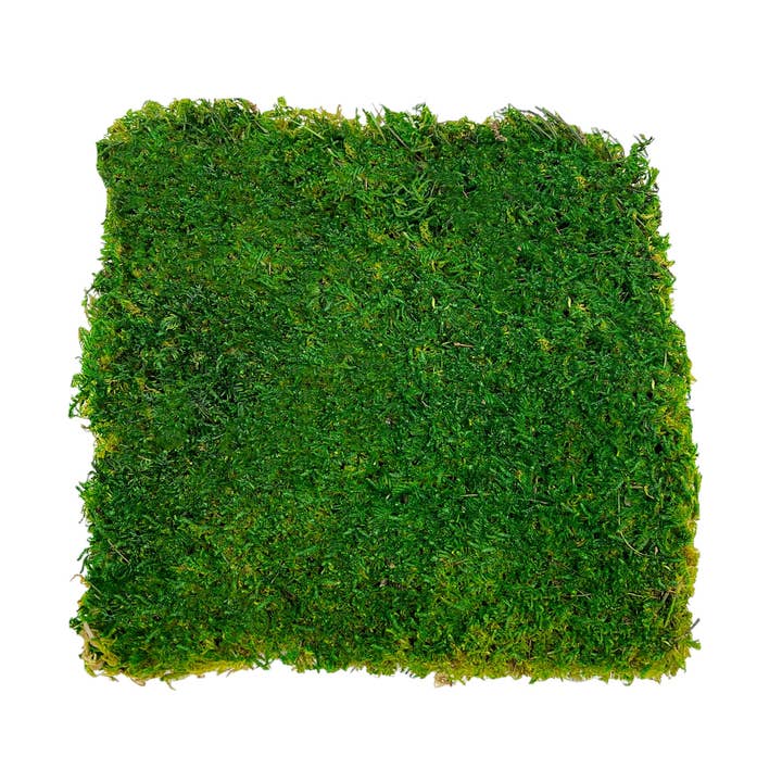 Box of 2 12 inch Sheets of Preserved Flat Moss for wholesale by 2626 Designs