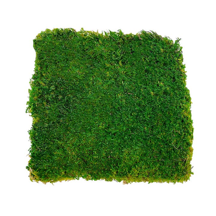 2626 Designs - Wholesale Artificial Plant - Box of 2 12 inch Sheets of Preserved Flat Moss