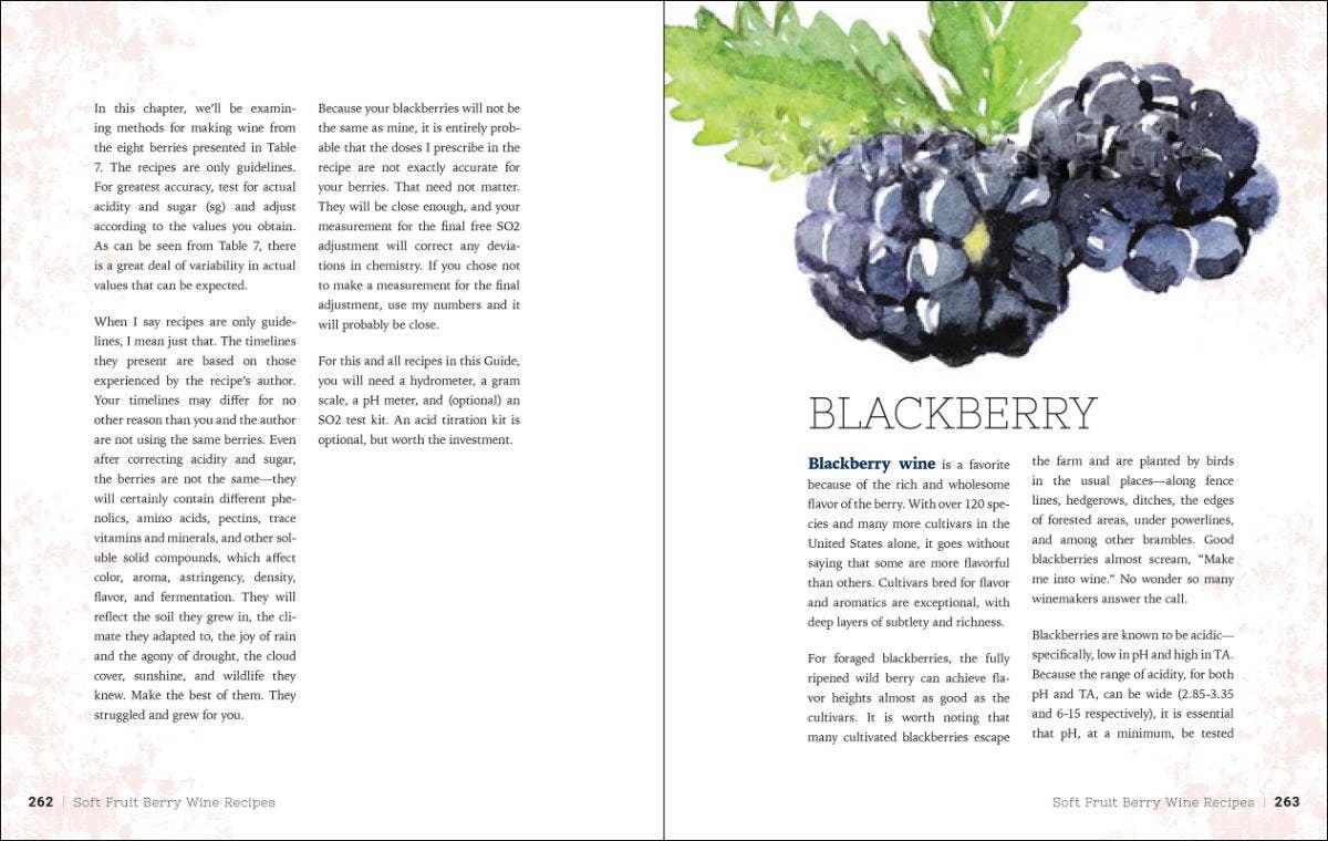 AdventureKEEN - Wholesale Mixology & Beverage - Home Winemaking: A Practical Guide4