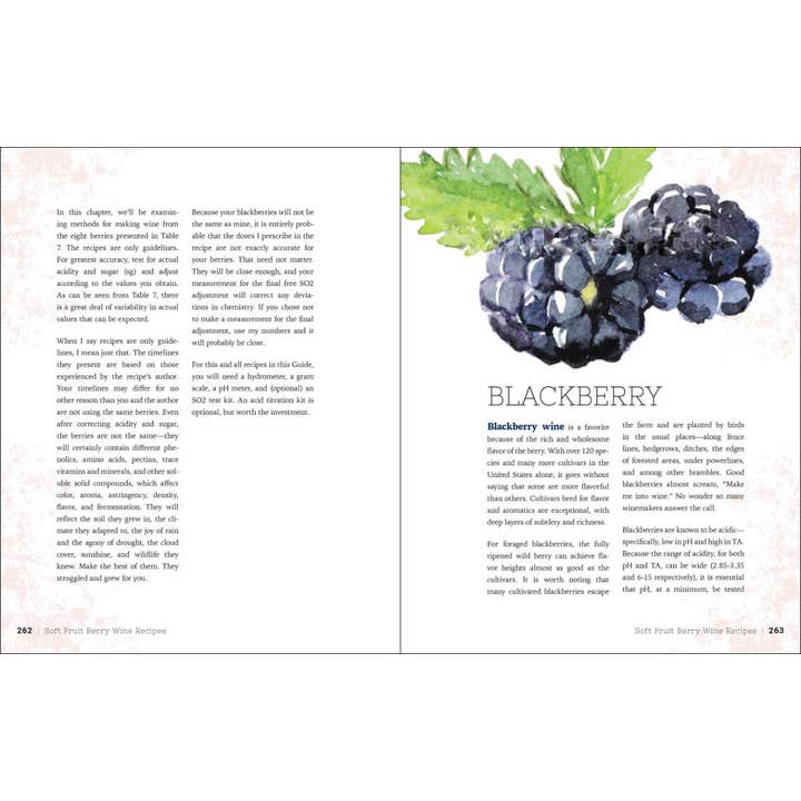 AdventureKEEN - Wholesale Mixology & Beverage - Home Winemaking: A Practical Guide4