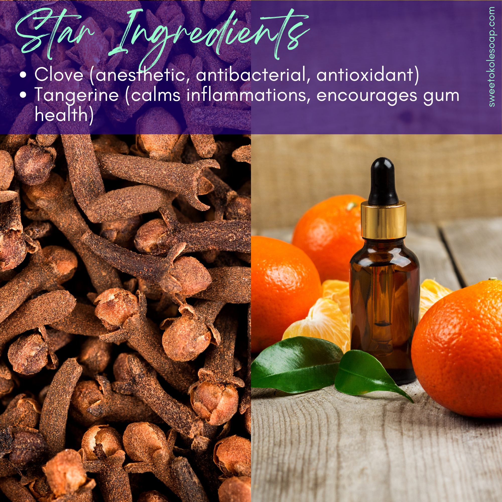 Sweet ʻŌkole Soap Co. - Wholesale Toothpaste - Herb Mineral Tooth Powder with Citrus, Clove & Noni1