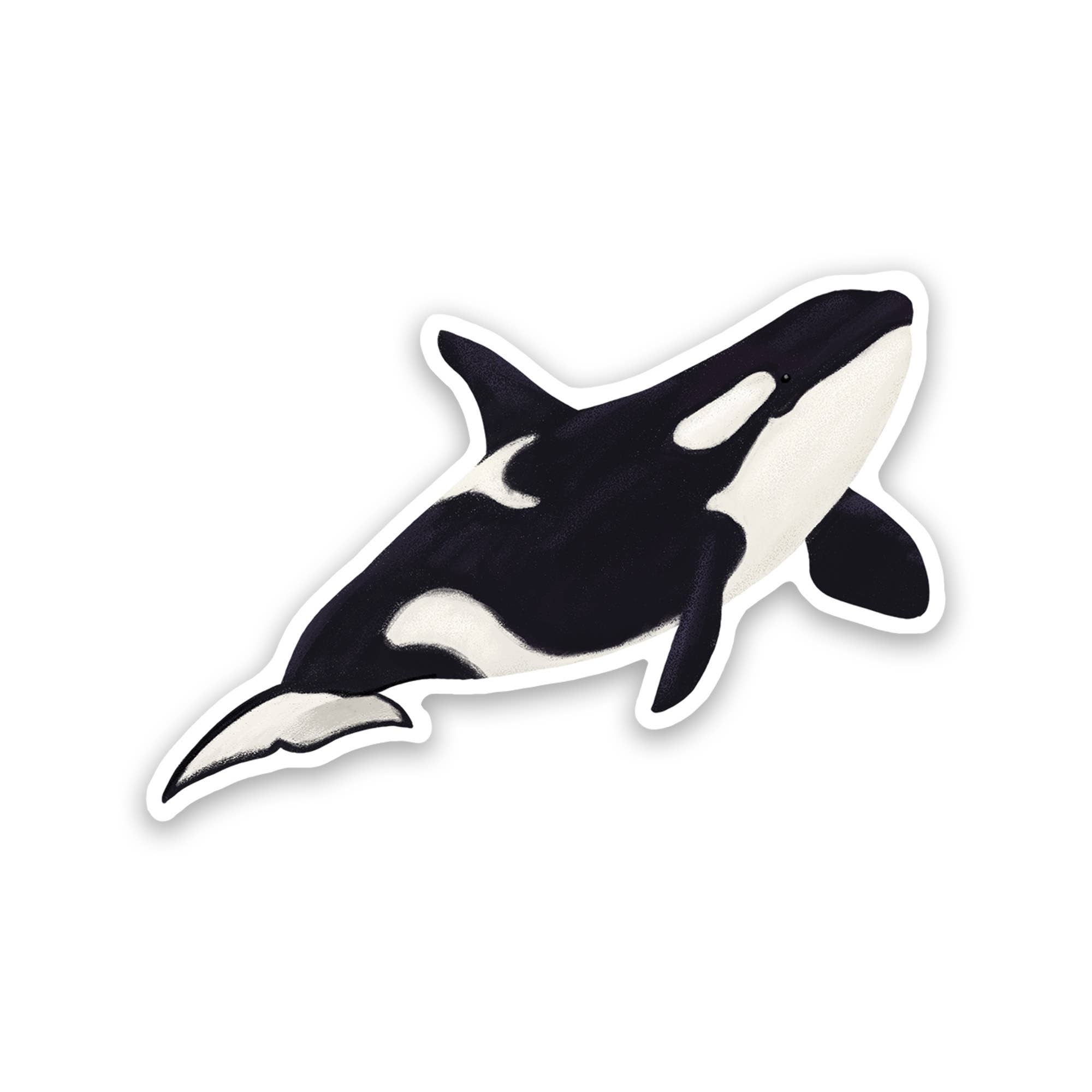 Proper Wolf - Wholesale Sticker - Orca Killer Whale Vinyl Sticker Decal