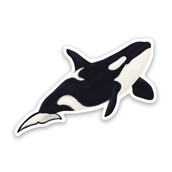 Orca Killer Whale Vinyl Sticker Decal for wholesale by Proper Wolf