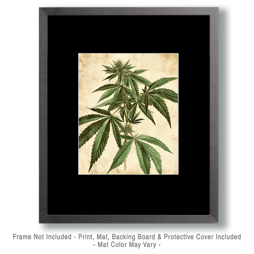 Mowbi - Wholesale Art Print - Marijuana Plant Wall Art Prints – 8″x10″ Artwork for 11″x14″ Frame1