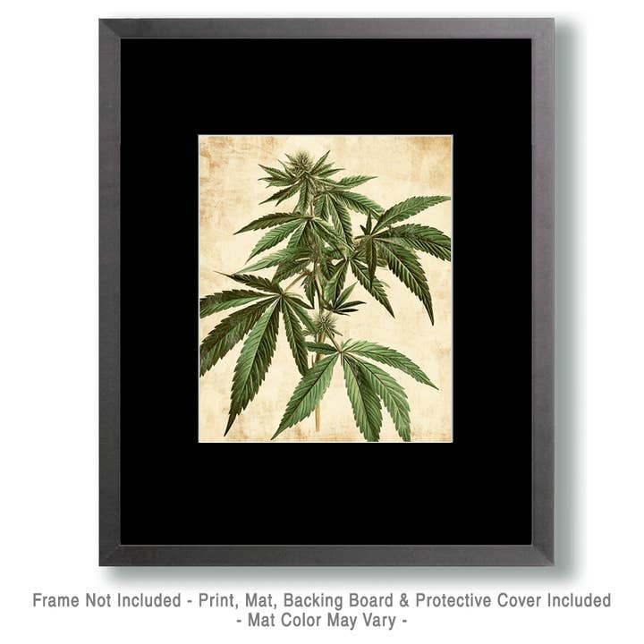 Mowbi - Wholesale Art Print - Marijuana Plant Wall Art Prints – 8″x10″ Artwork for 11″x14″ Frame1
