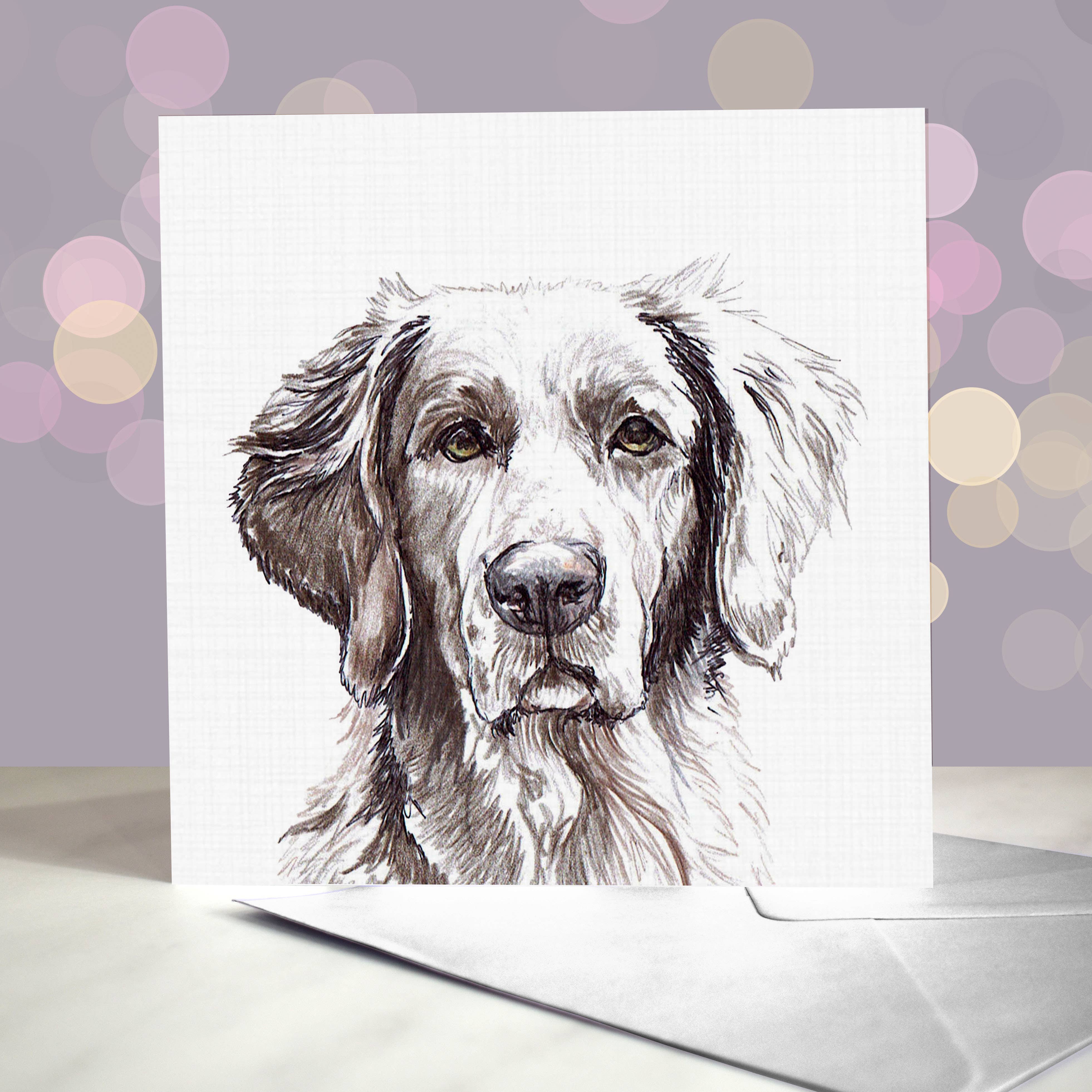 Amber Marie Studio - Wholesale Everyday Greeting Card - Long Haired Weimaraner Most Pupular Greetings Card0