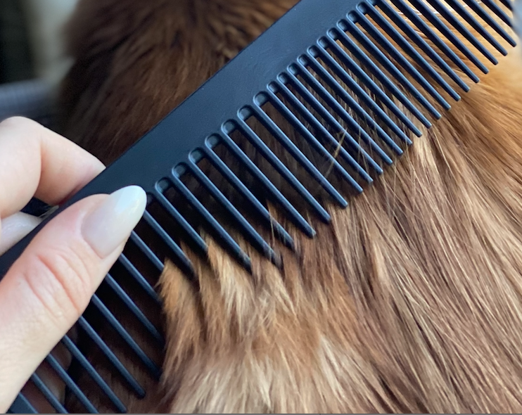 Chicago Comb Co. - Wholesale Pet Brush - Cat/Dog - The Pet Comb6