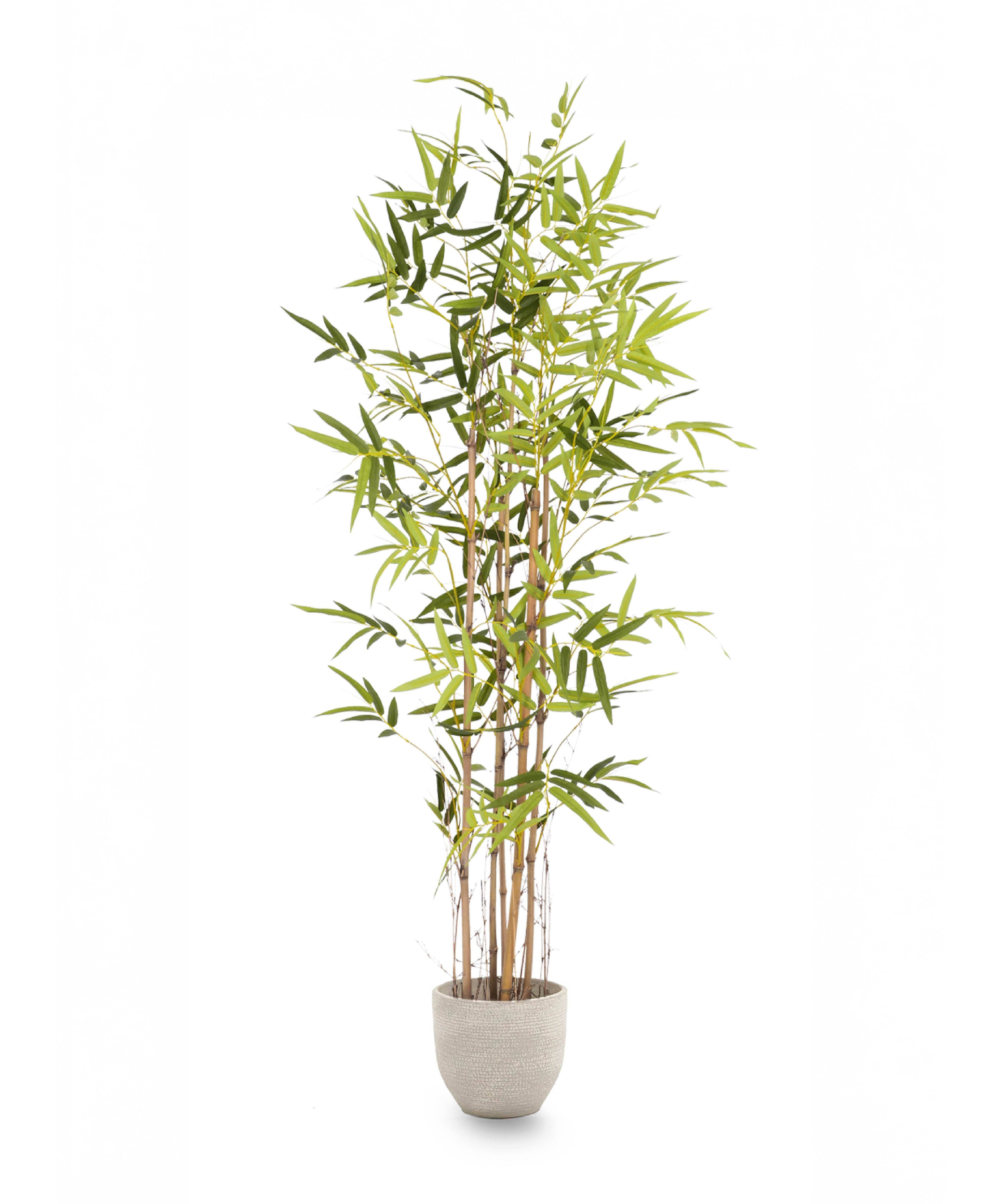 Maia Shop - Wholesale Artificial Plant - Artificial Bamboo Savage 150 cm6