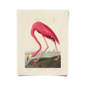 ATX Art Group LLC Pink Flamingo Framed On Canvas by Stanley Print
