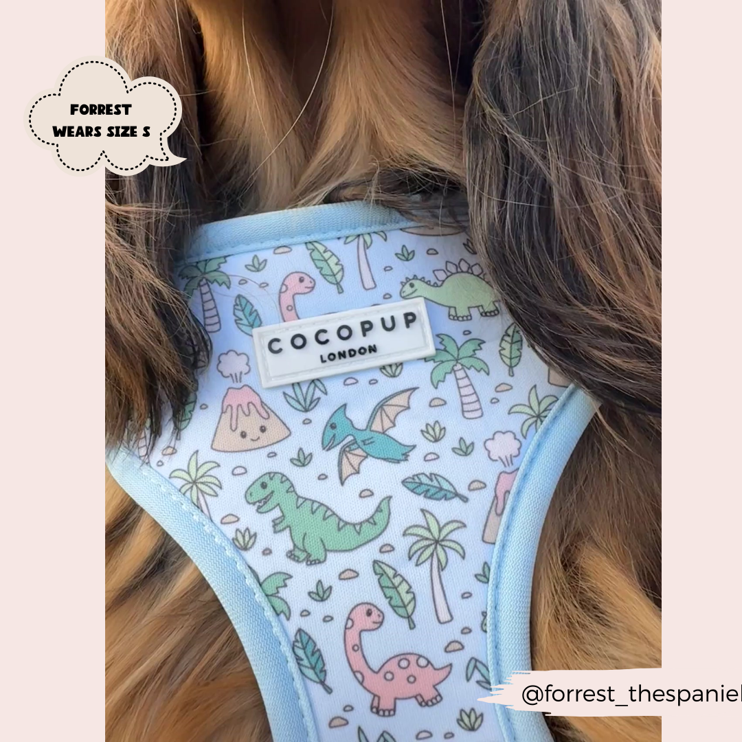Cocopup London - Venta al por mayor Arnés - Perros - Arnés ajustable para cuello Dinopaws11