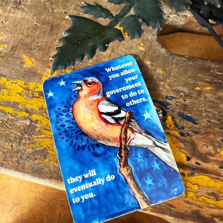 Fabulously Feminist - Wholesale Sticker - Whatever you allow your government to do to others: sticker1