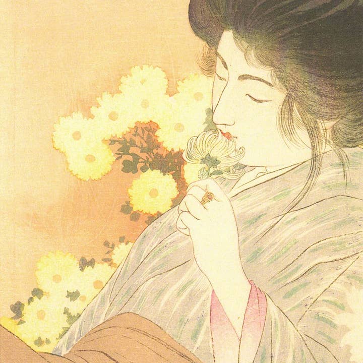 CATCH 12X12 CARTAS DOBLES SNC 143125 para venta al por mayor de Phenicia