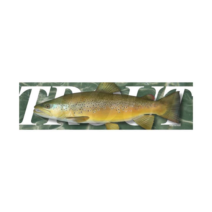 TROUT for wholesale by Frog Mustard Stickers