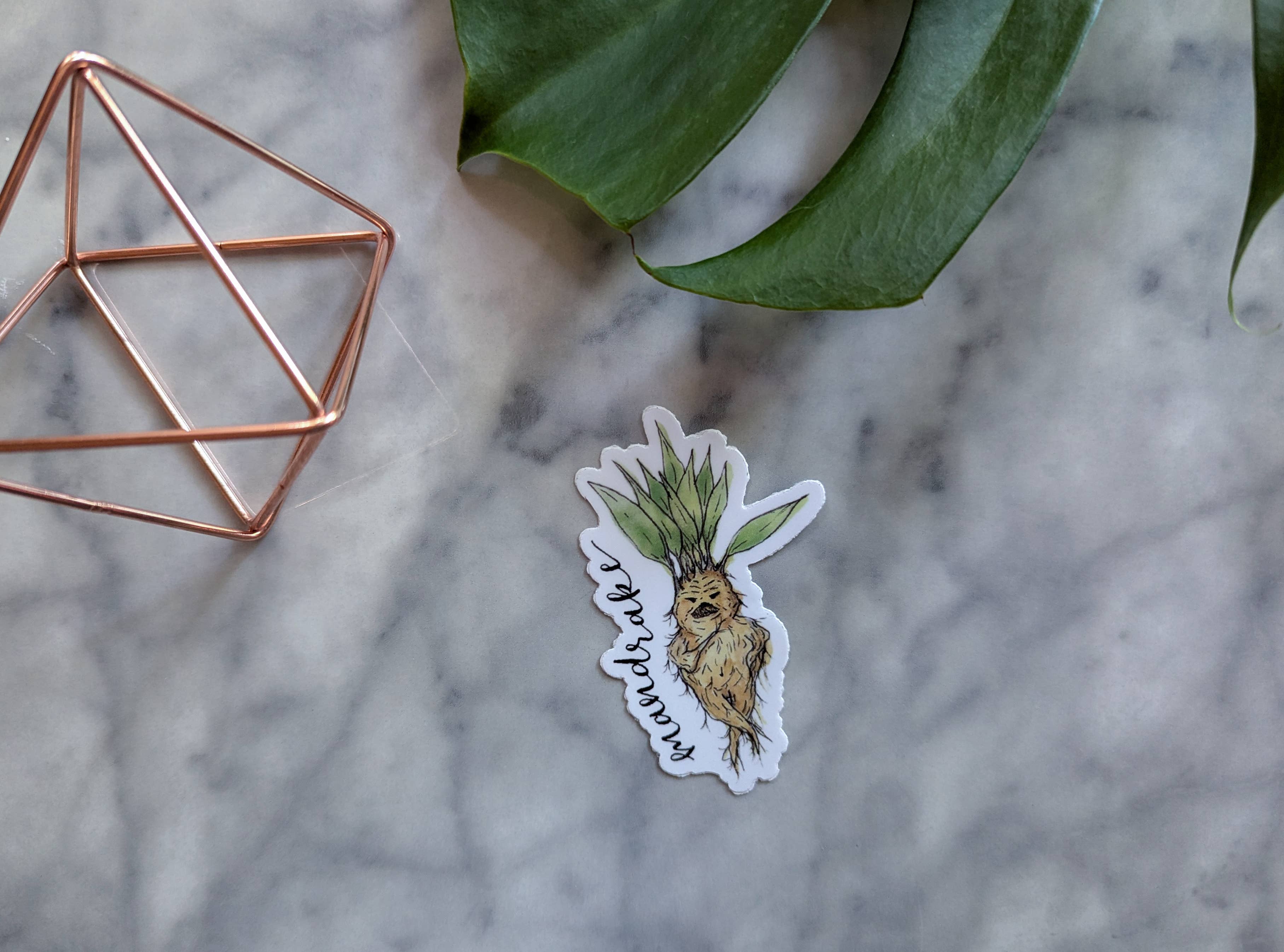 Kallos Ink - Wholesale Sticker - Mandrake Sticker1