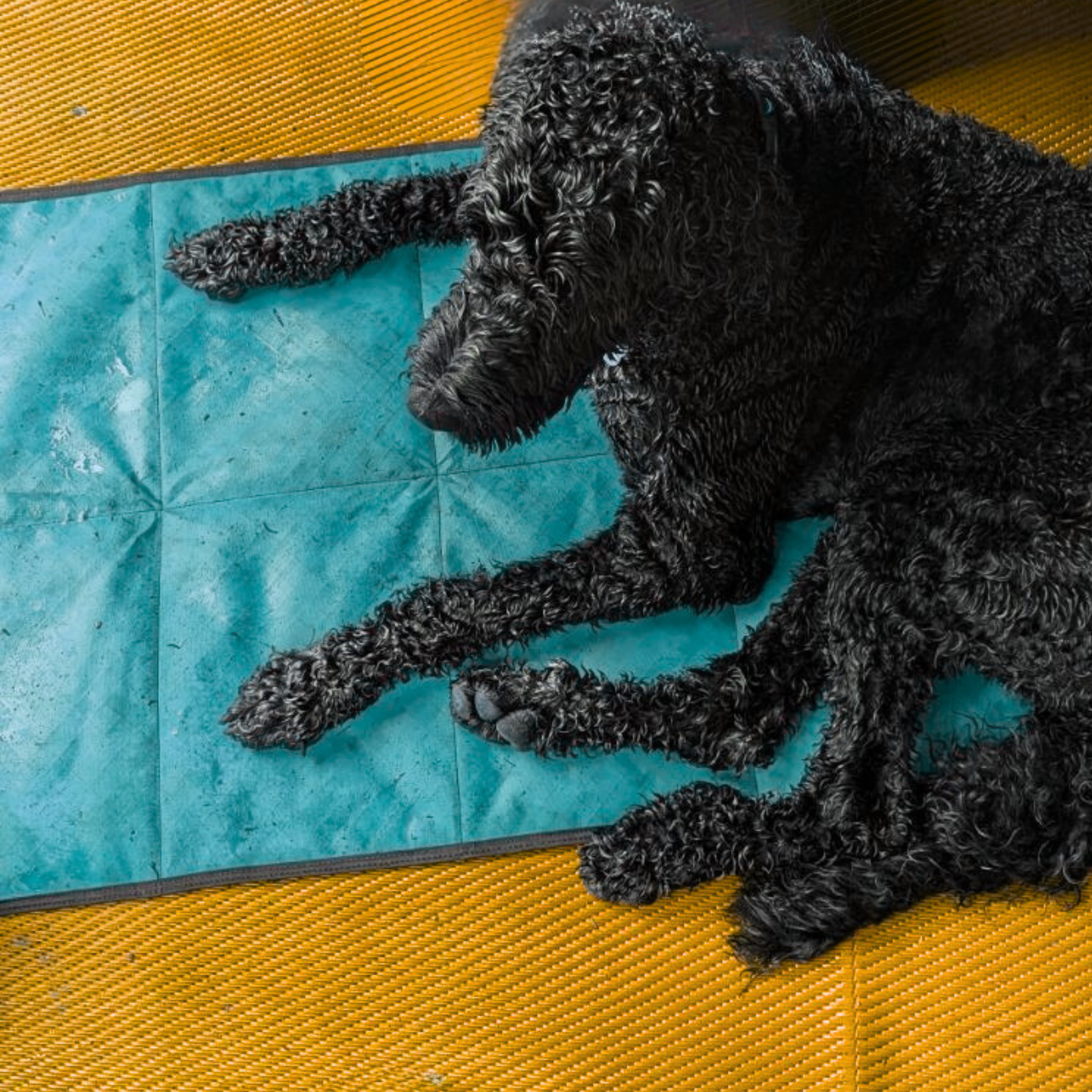 LUWELLO, LLC - Wholesale Pet Bed - Dog - Portable Dog Settle Mat5
