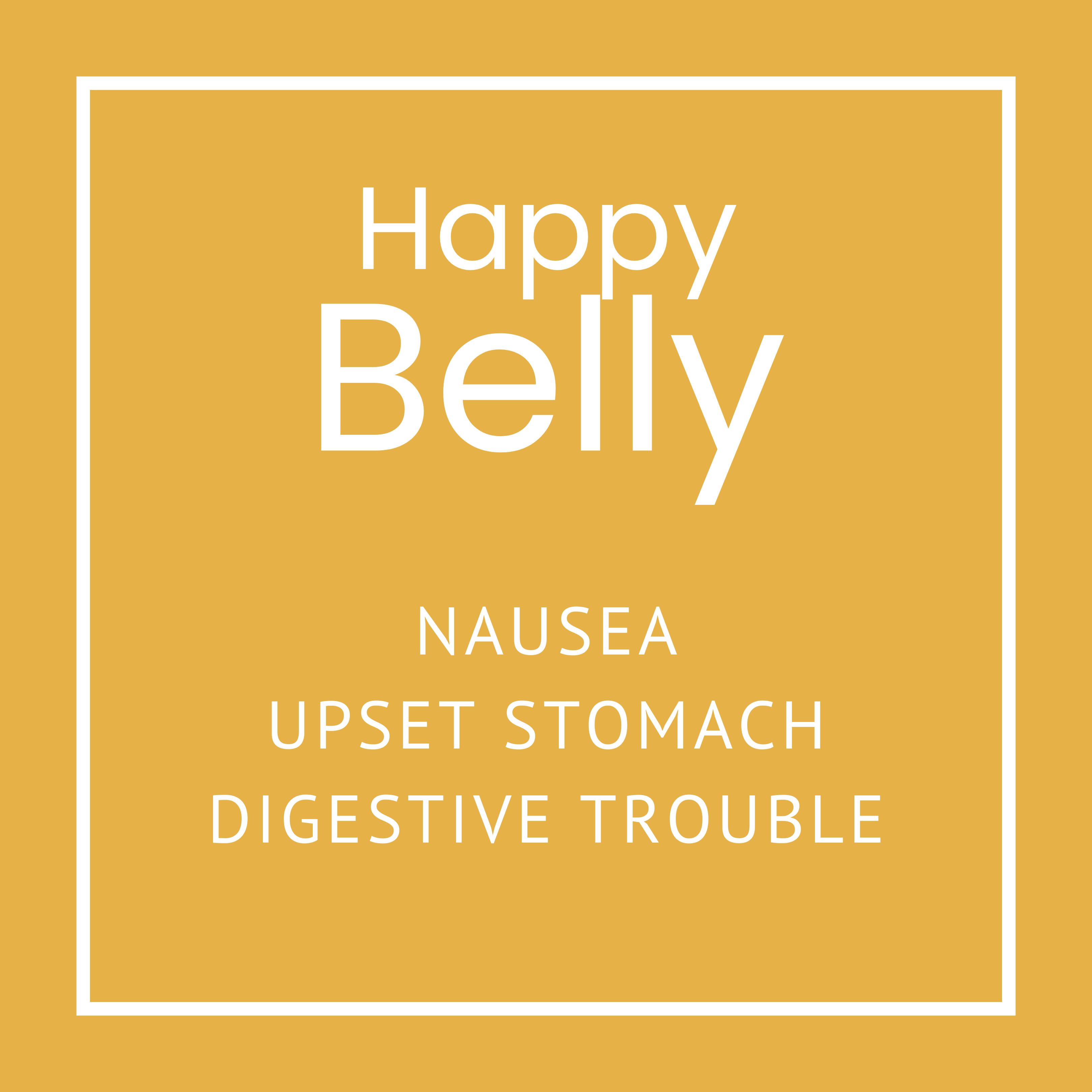 The Original Oil Shop - Wholesale Aromatherapy Inhaler - Happy Belly Nasal Inhaler3