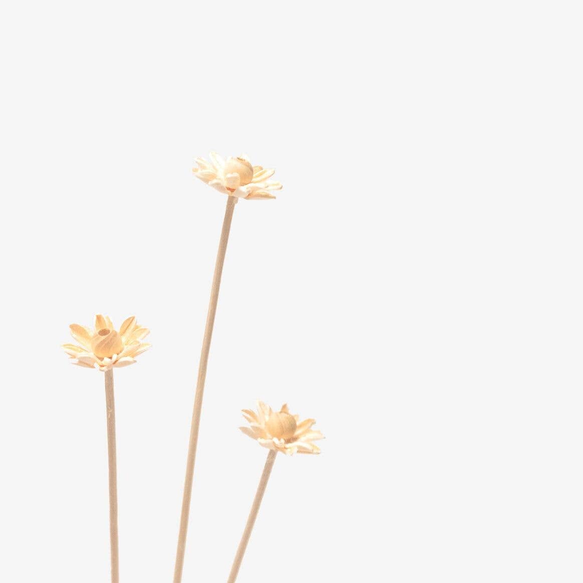 MILLIMÉTRÉE - Vente Fleurs artificielles - Bar À Fleurs Les Sauvages1