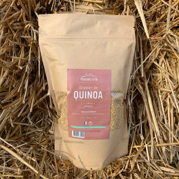 Pousses de là - Wholesale Protein/Superfood Powder - QUINOA CONVERSION AB 750G