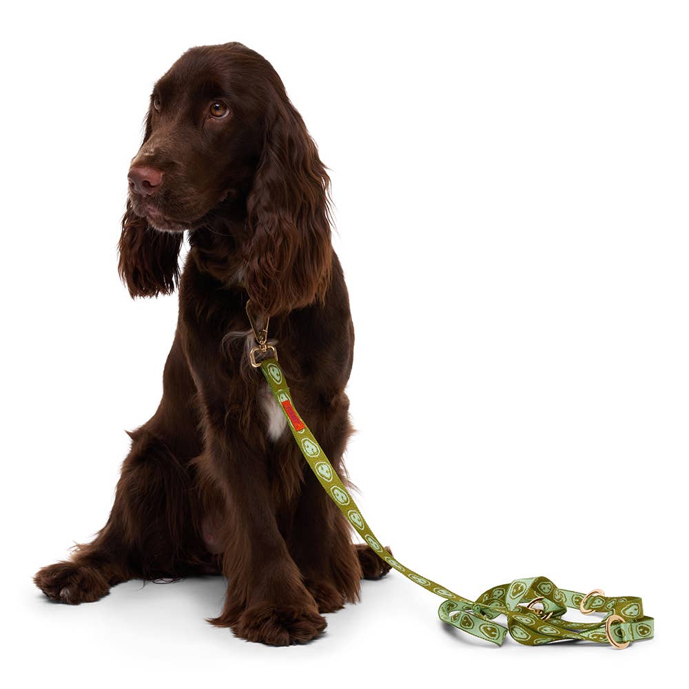 Furmey - Wholesale Pet Leash - Dog - Furmey Nez Hands Free Dog Leash2