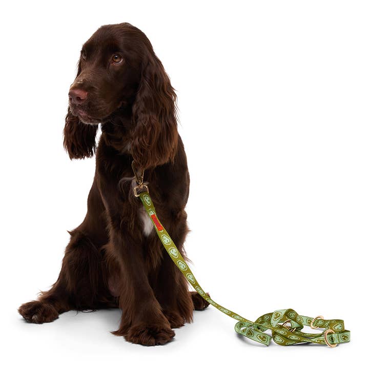 Furmey - Wholesale Pet Leash - Dog - Furmey Nez Hands Free Dog Leash2