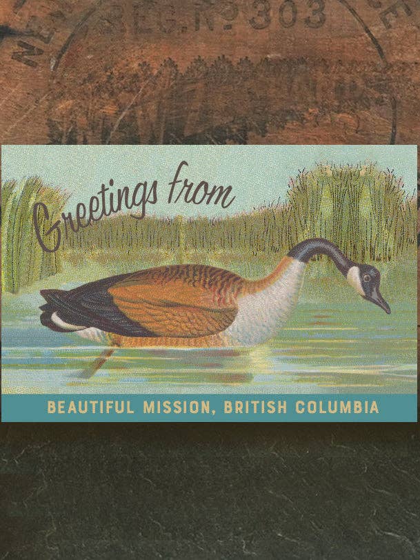 Mission Goose #2 for wholesale by Irreverent Cards for Challenging Times
