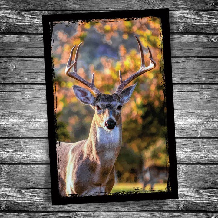 White Tailed Deer Postcard for wholesale by Christopher Arndt Postcard Co.