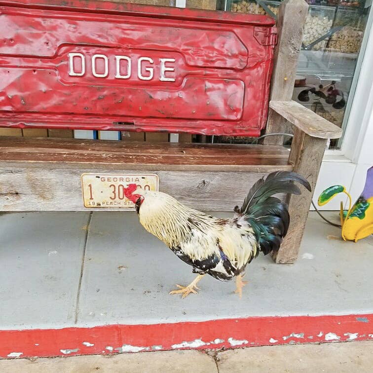 Mountain City Apparel - Wholesale Sticker - Mountain Air Sticker2