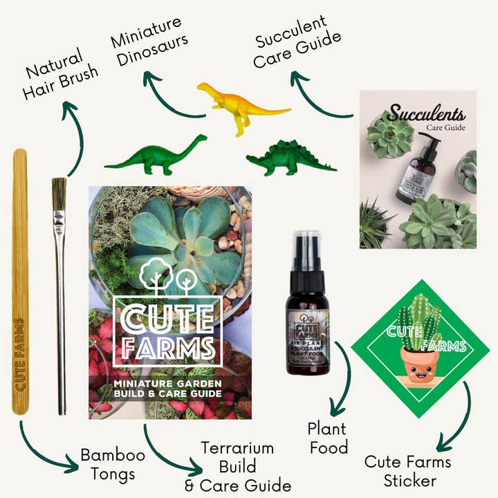 Cute Farms - Wholesale DIY Craft Kit - Small Terrarium Kit