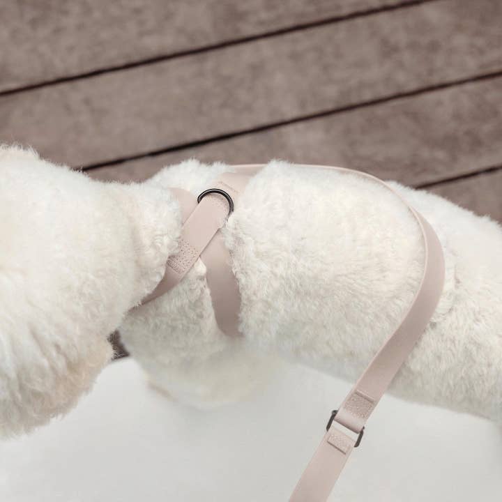 Lambwolf Collective - Venta al por mayor Arnés - Perros - OTTO | arnés impermeable en forma de 8 para perros y gatos9