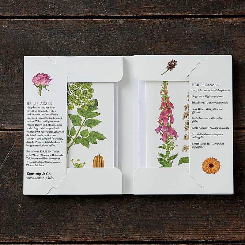 Koustrupco - Wholesale Everyday Greeting Card - Cardfolder Heilpflanzen - 8 cards w/envelopes (german)1