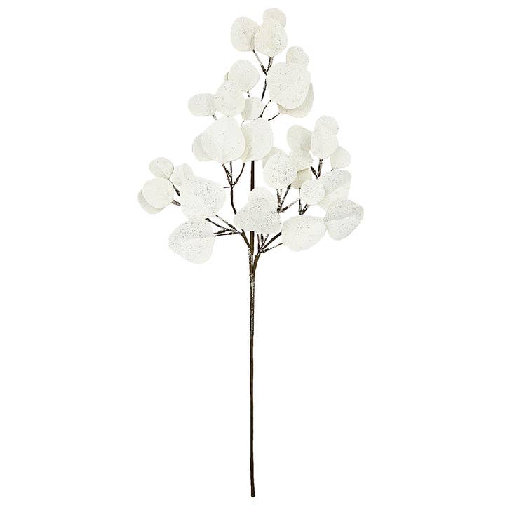 Eucalytus Spray for wholesale by A&B Home Group Inc.