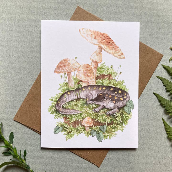 Lucinda Rowe Art - Wholesale Stationery/Notecard Set - Notecard Set - 6 Amphibians & Fungi On Blank Recycled Cards4