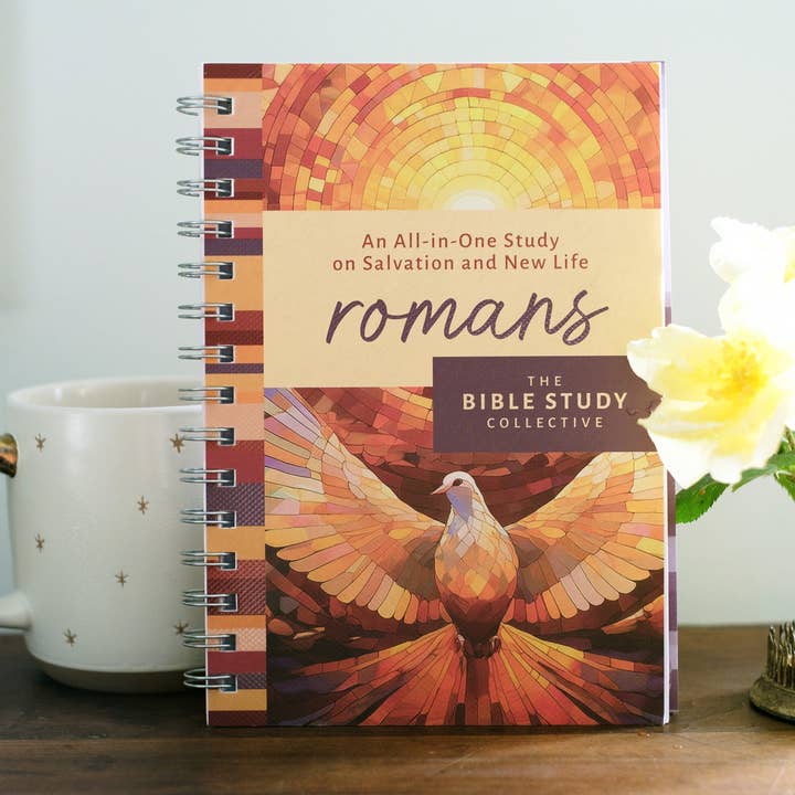 Barbour Publishing, Inc. - Wholesale Religion Book - Romans: An All-in-One Study on Salvation and New Life