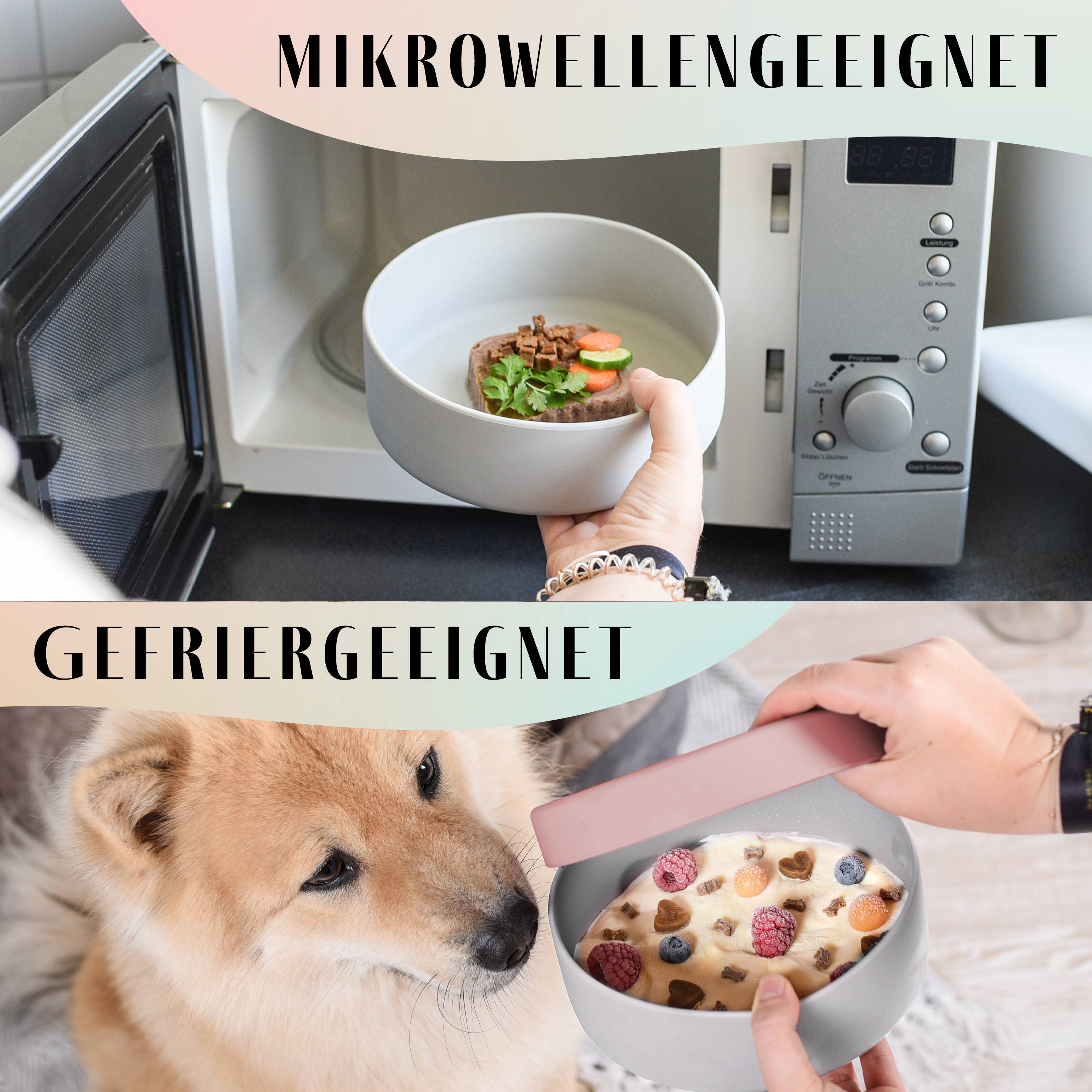 ne&no - Wholesale Pet Bowl - Cat/Dog - ne&no® Silicone Feeding Bowl with Lid for Dogs & Cats– MIX6