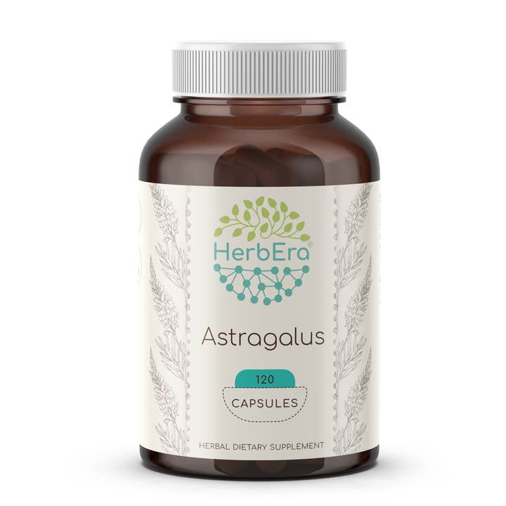 HerbEra - Wholesale Oral Supplement/Vitamin - Astragalus Capsules2