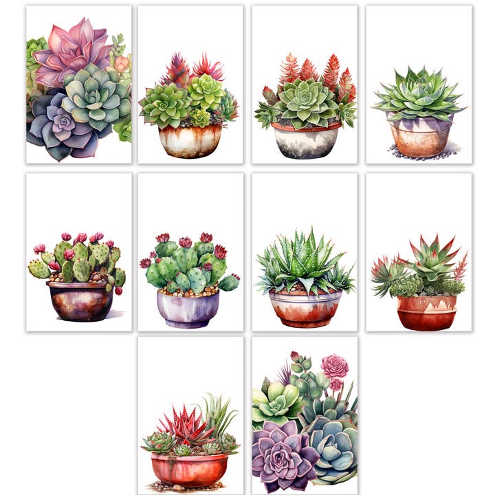 10 handgemaakte notitiekaarten 4x6 met enveloppen blanco gevouwen vetplanten voor wholesale door Blue Morning Expressions