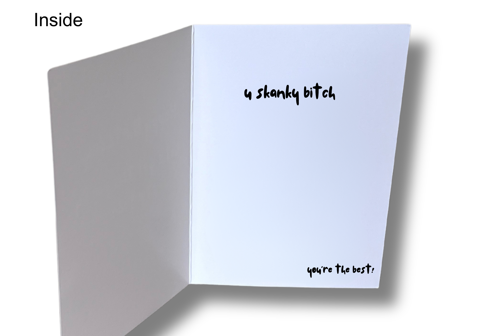 GrouchCards - Wholesale Birthday Card - Mean Insult Birthday Card for Friends1