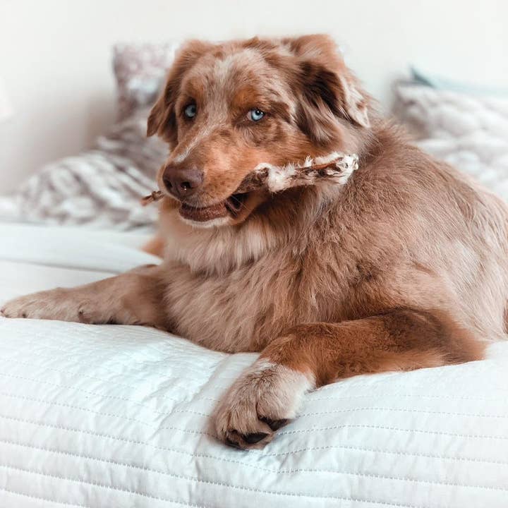 Kivo Petfood - Wholesale Pet Treats - Dog - Dog Snack - Rabbit Ears with Hair - 100g2