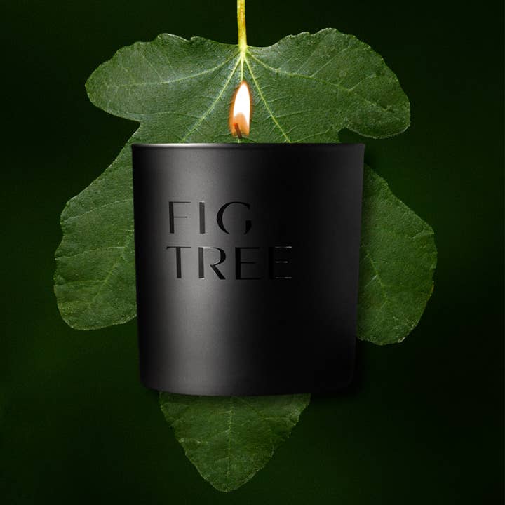 Studio Stockhome - Wholesale Jar/Filled Candle - Fig Tree Scented Candle | Natural Soy, Coconut, Beeswax 1
