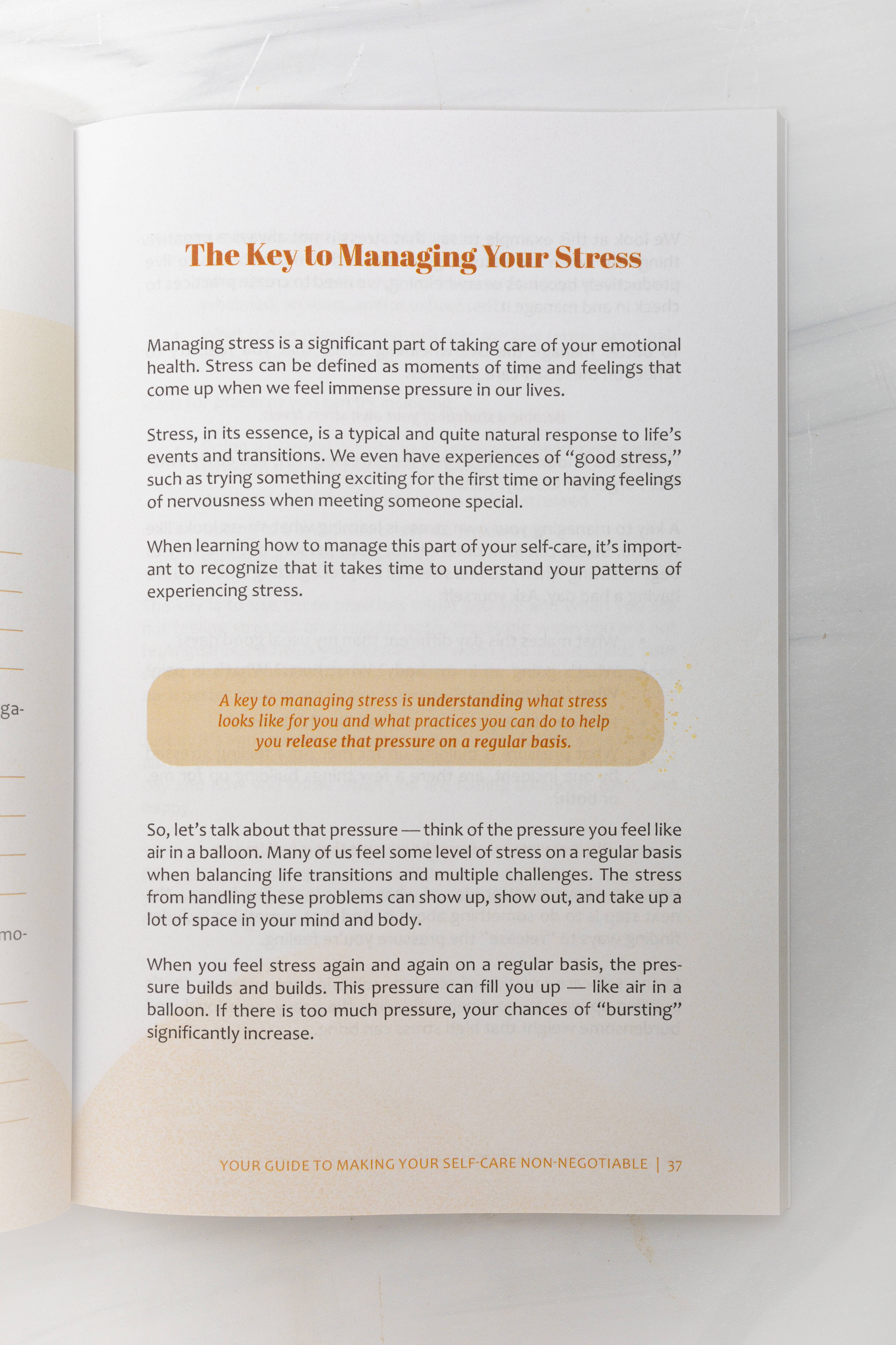 Gmichelle Wellness - Wholesale Self-Help & Personal Development Book - The Self Care Investment2