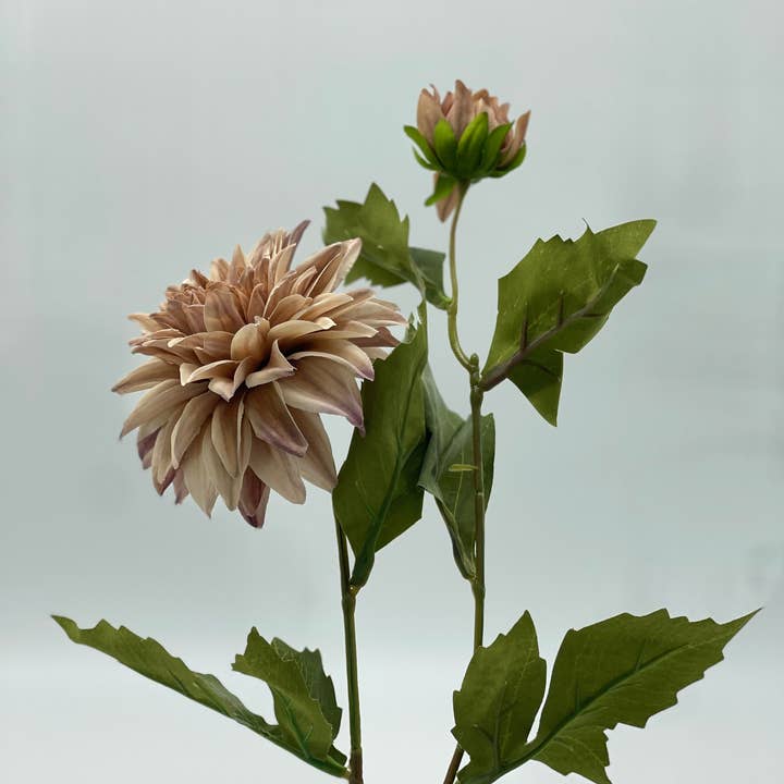 JKF & Co Pty Ltd - Wholesale Artificial flowers - Dahlia 2 Head Spray Fawn1
