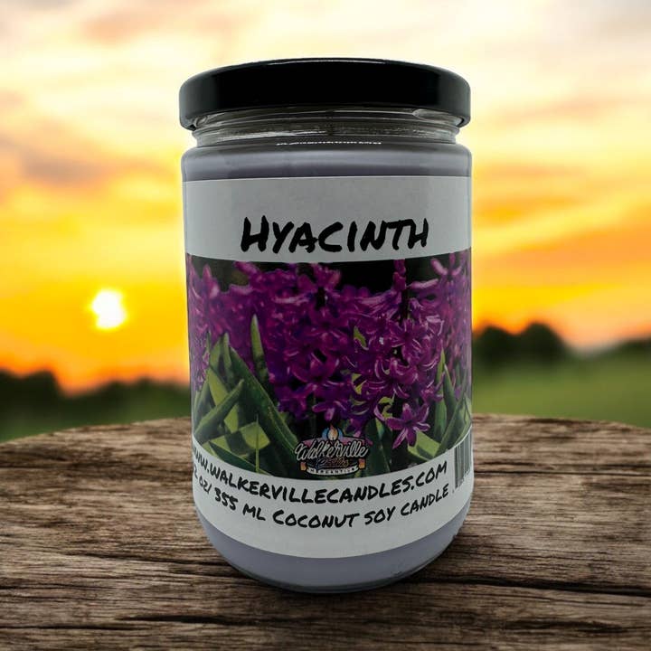 Hyacint Miljövänligt 12 oz Kokos Sojaljus för wholesale av Walkerville Candles