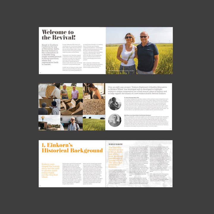 Revival Einkorn - Wholesale Diet & Nutrition - Einkorn Explained: The Healthy Alternative to Modern Wheat1